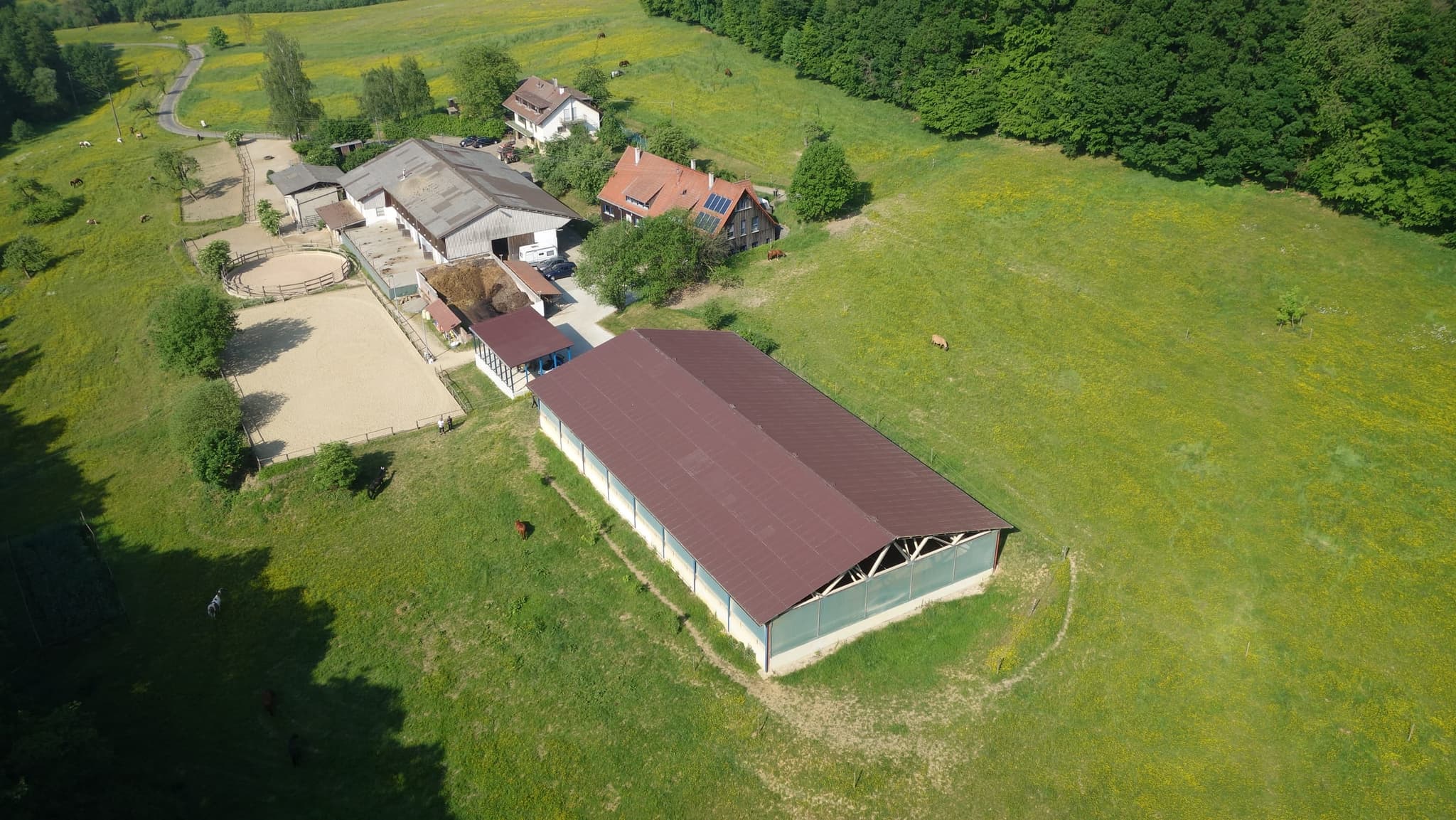 Täleshof, Gesamtansicht